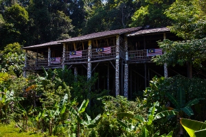 Dlouhý dům kmene Orang Ulu